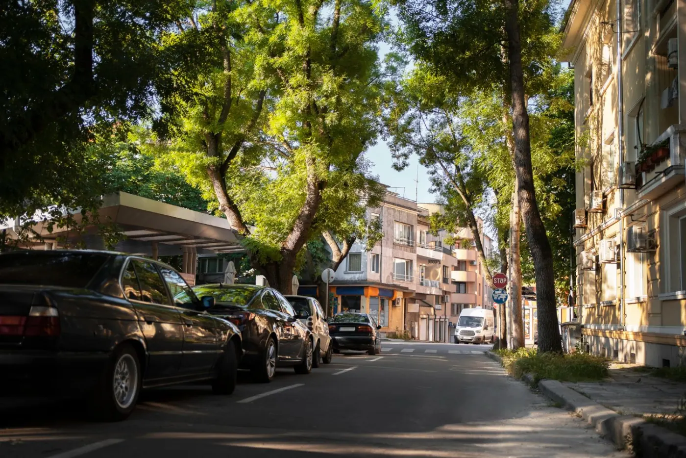 Affordable Living in Elgin: Your Guide to Budget-Friendly Neighborhoods